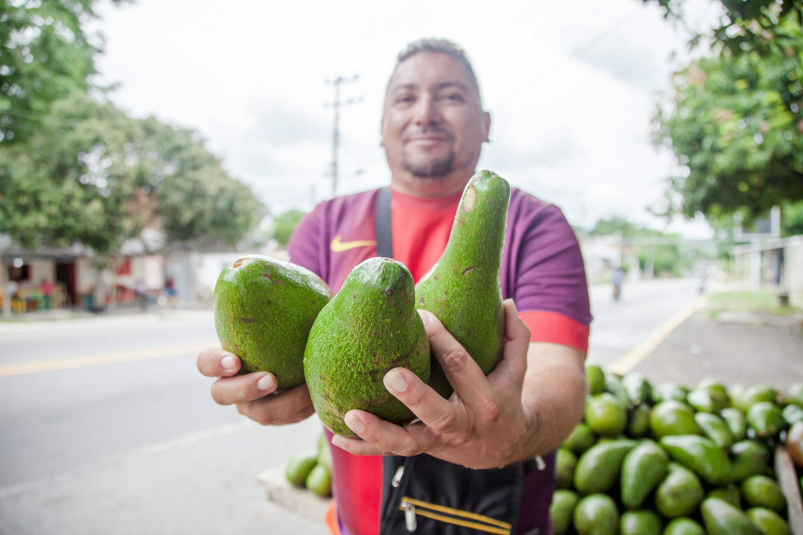 Man holding avocados at a street market in Sucre, Colombia. Tropical fruit sales in urban setting.