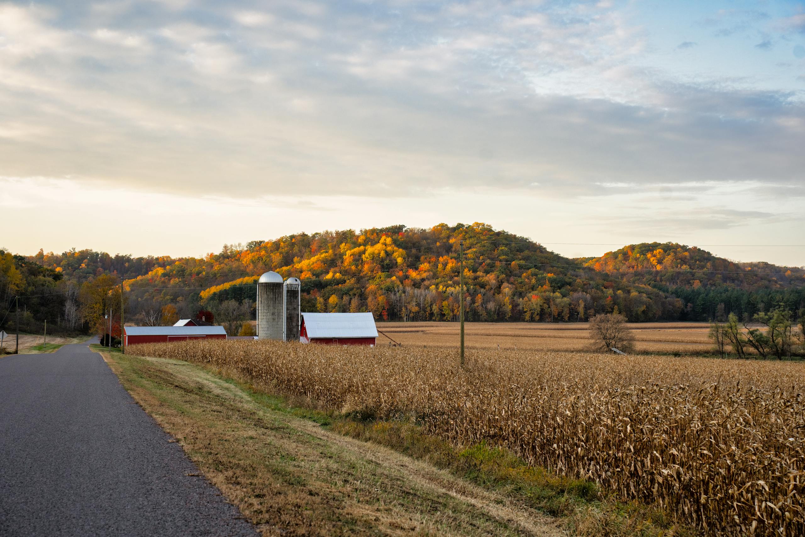 Picturesque view of a farm with silos and fall foliage in Ella, Wisconsin.
