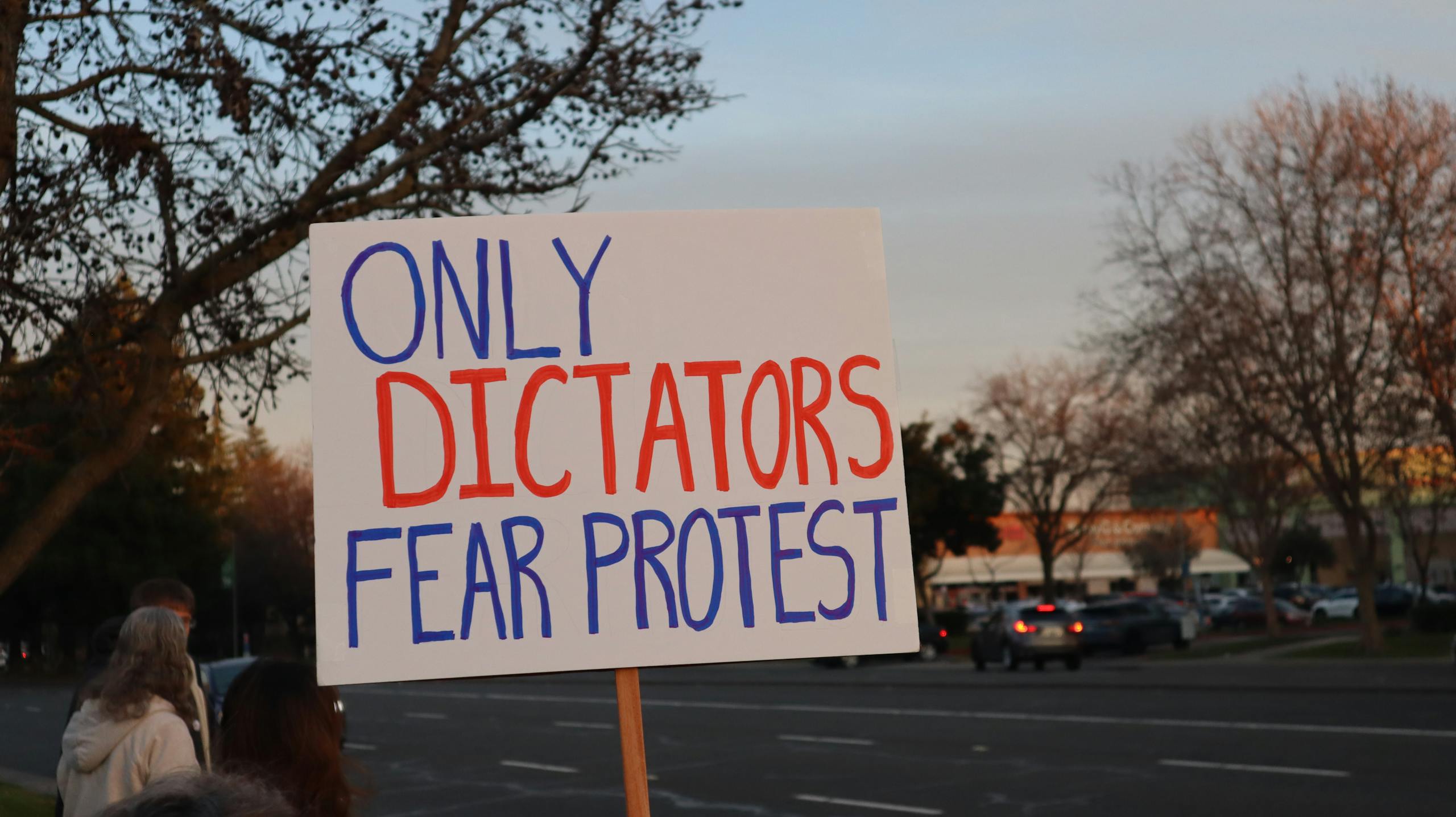 Protest sign with the message 'Only Dictators Fear Protest' held during a demonstration in Elk Grove, California.