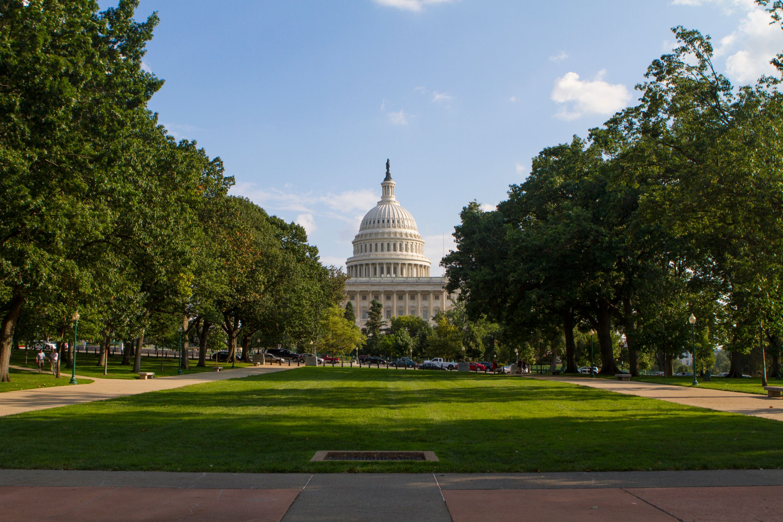 The iconic United States Capitol dome framed by lush green trees on a sunny day.