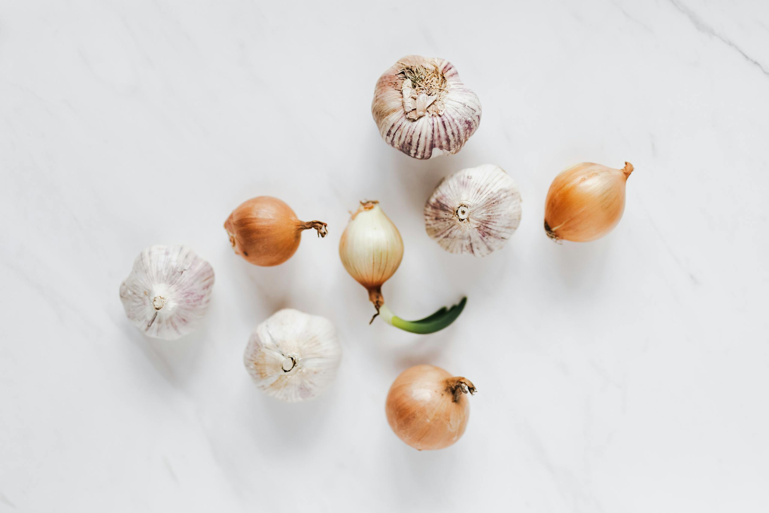 Top view composition of raw unpeeled ripe yellow onions and fresh whole aromatic garlic bulbs placed on white marble background
