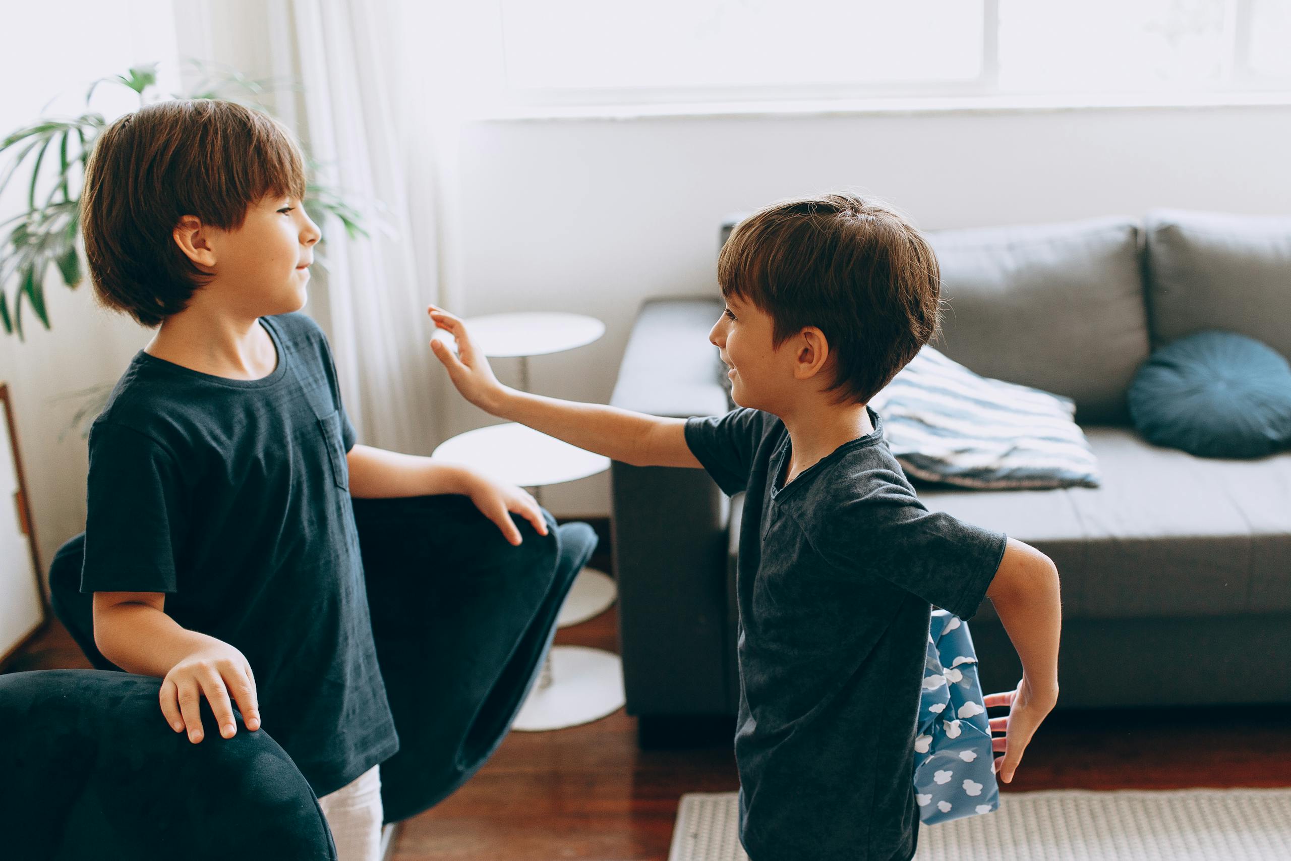 Two young boys playing and interacting in a cozy living room setting, filled with natural light.