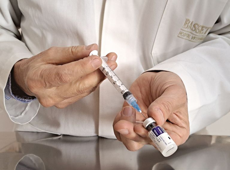 Veterinarian in a white coat preparing a vaccine injection for animal health care.