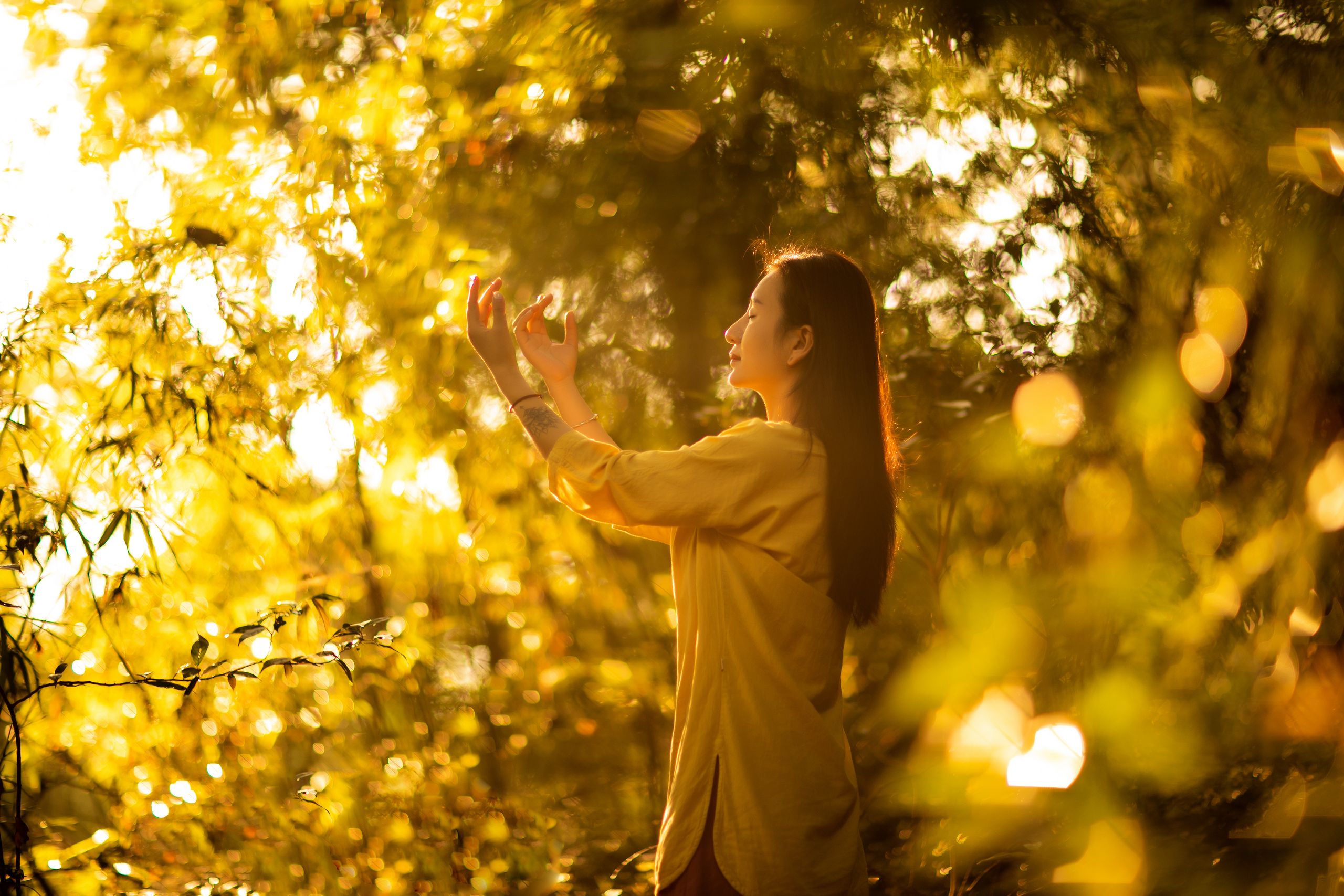 Woman meditating peacefully outdoors in golden sunlight amidst trees.