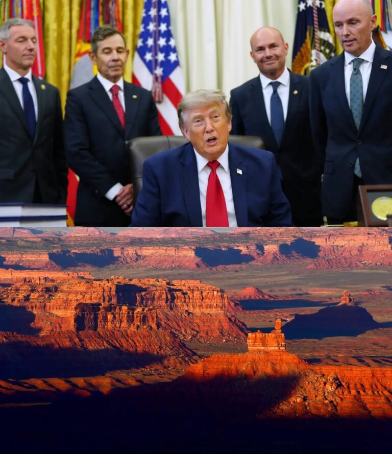 Trump Administration Put a Political Test on $7.5 Billion in Energy Grants, Court Filing Shows.