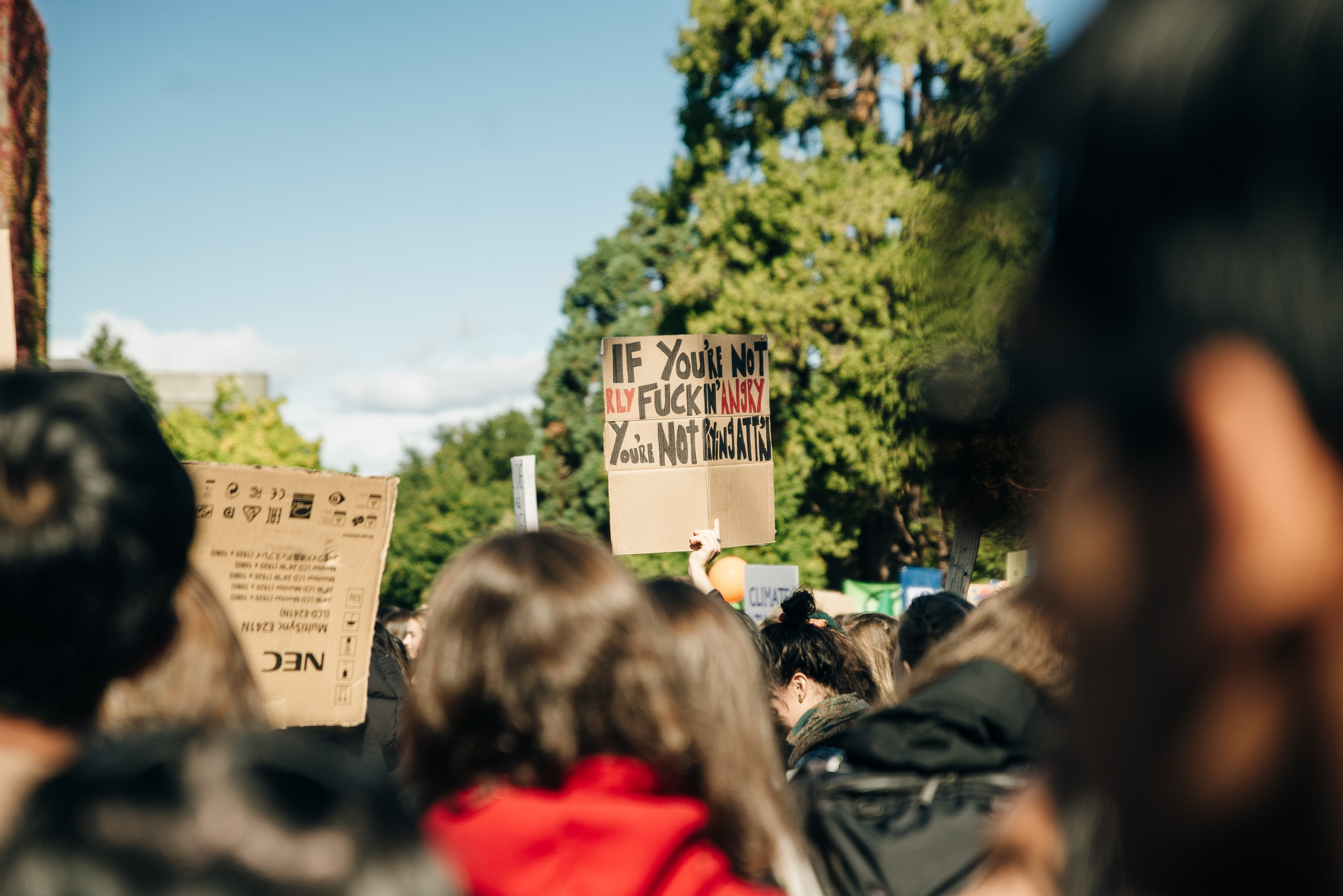 Striking people at rallies on environmental occasion global warming