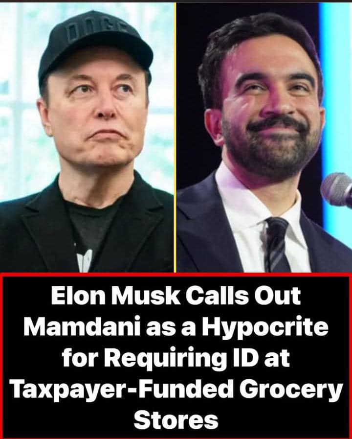 Elon Musk Mocks Mamdani Over Taxpayer-Funded Grocery ID Row, But There’s A Catch