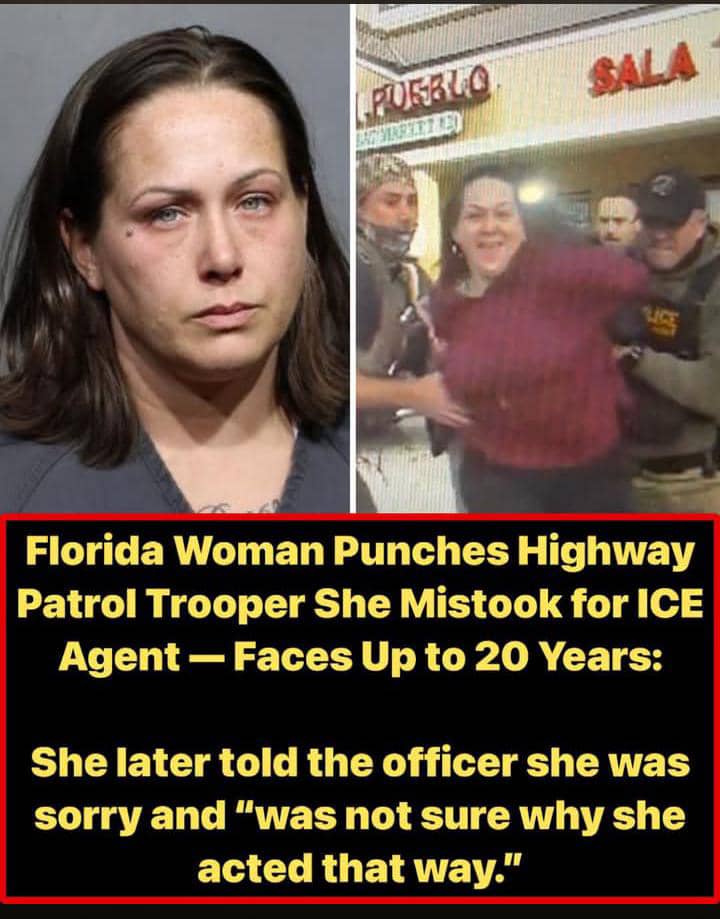 Florida Woman Who Punched Trooper During ICE Operation Faces Up to 20 Years After Guilty Plea and Apology