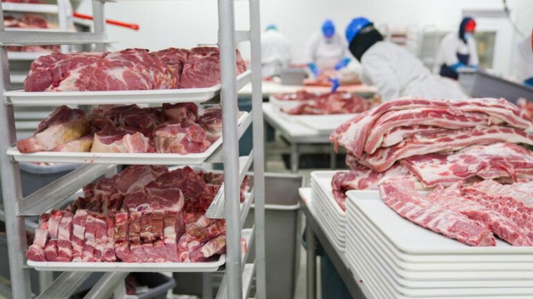 Trump’s Plan to Break Up the Meatpacking Monopoly Could Let Farmers Process Their Own Meat