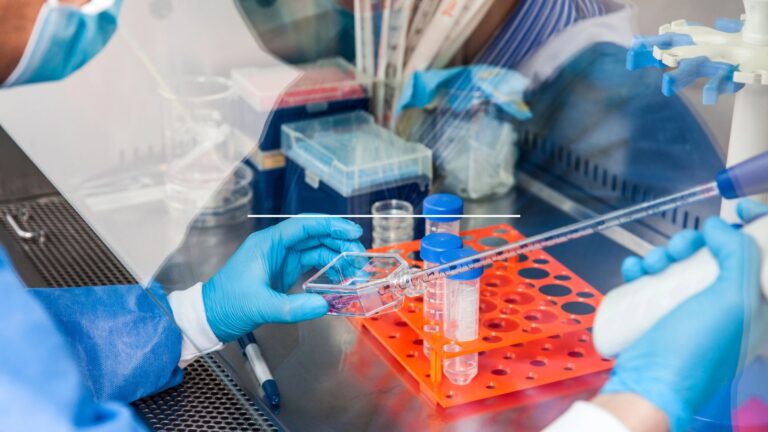 New AI-designed viruses raise fresh biosecurity questions