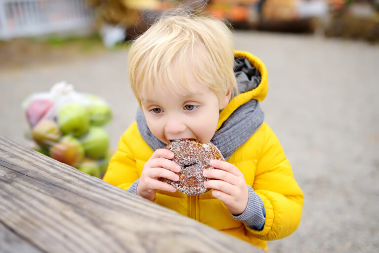 Little boy having lunch after shopping on traditional farmer agricultural market at autumn. Child eating donuts, traditional american food. Near kid on bench is large bag with fresh apples.