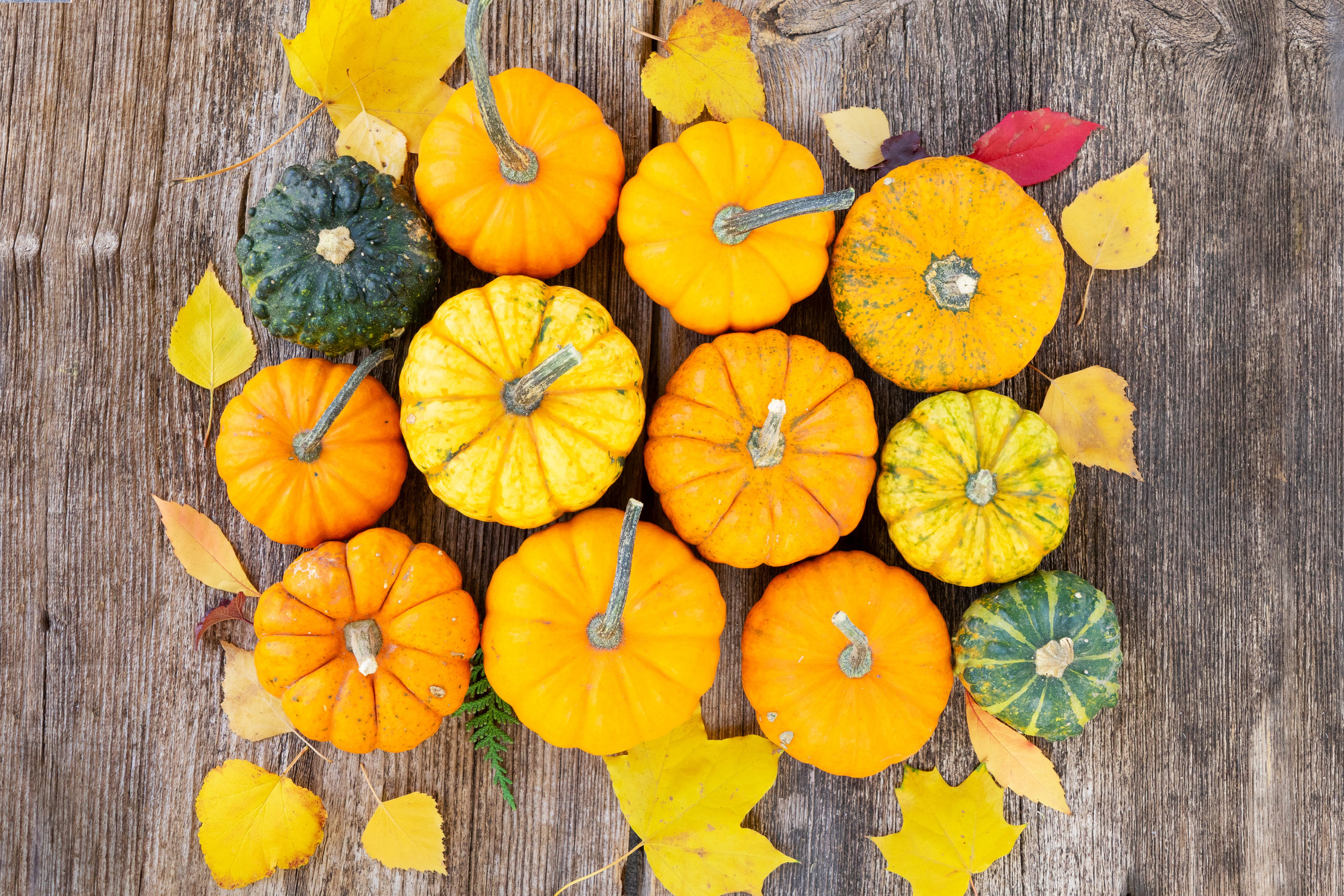 orange and green raw pumpkins on old wooden textured table, top view
