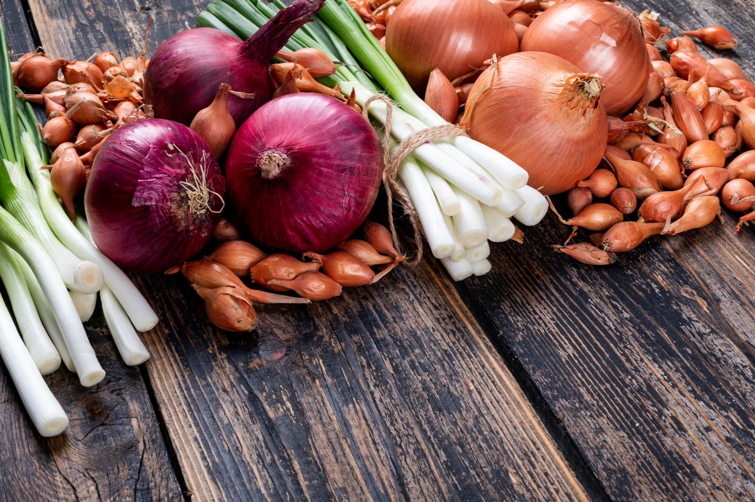 Some of onions with red onions, spring onions or scallions, small shallots on dark wooden background, high angle view.