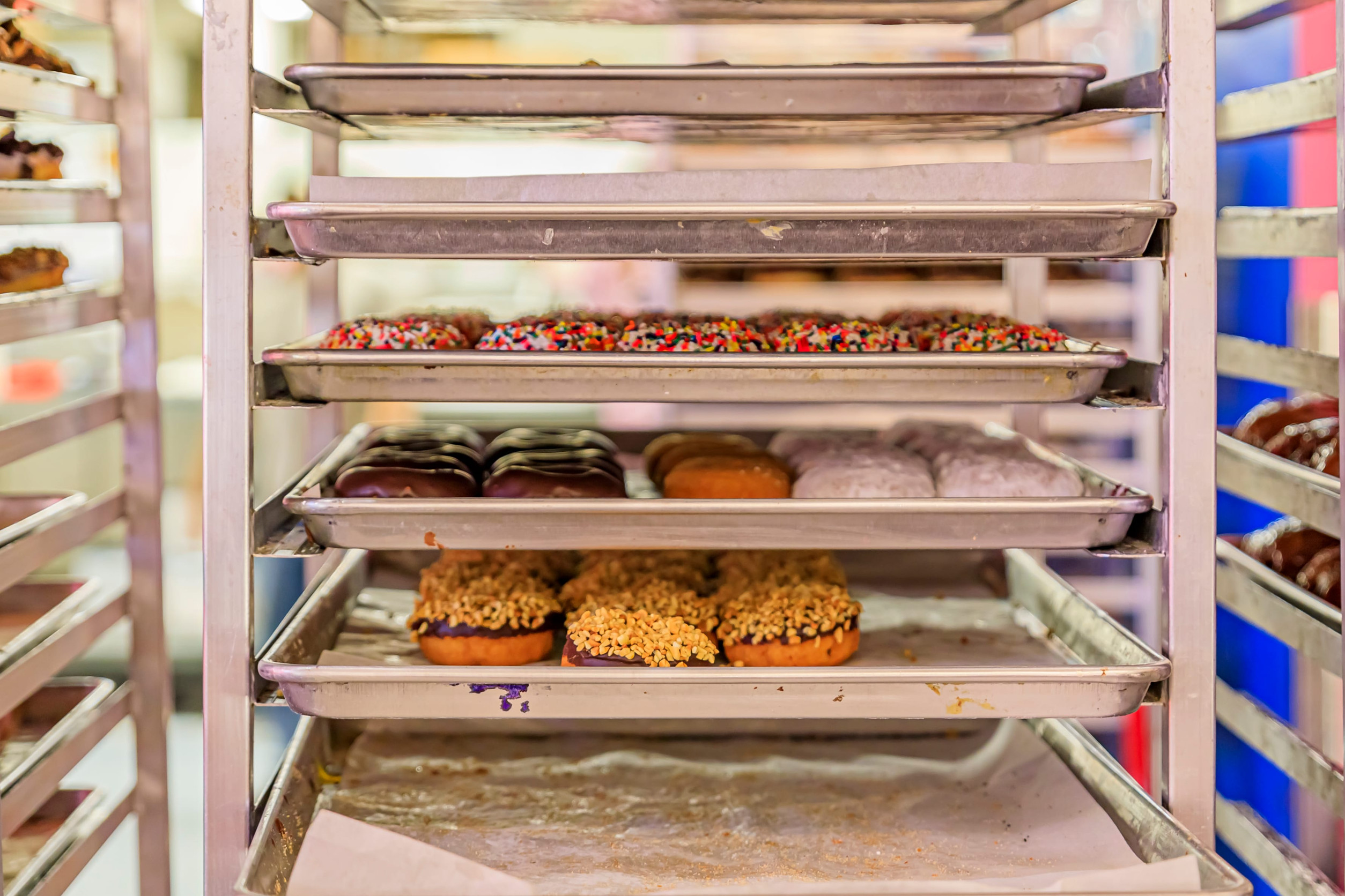 Freshly made donuts selection on bakers rolling sheet pan rack ready to be put on display in a popular specialty doughnut chain shop, selective focus