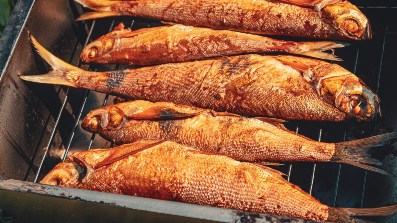 A tantalizing spread of perfectly smoked fish, glistening in the sunlight, showcasing rich textures and inviting flavors, ideal for a summer feast by the water. Image Credit: wwwarjag/ 123RF
