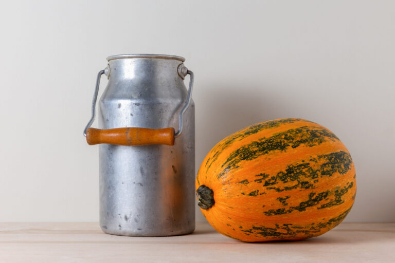 Old aluminum milk can with wooden handle and ripe yellow pumpkin on a kitchen table against a light wall background