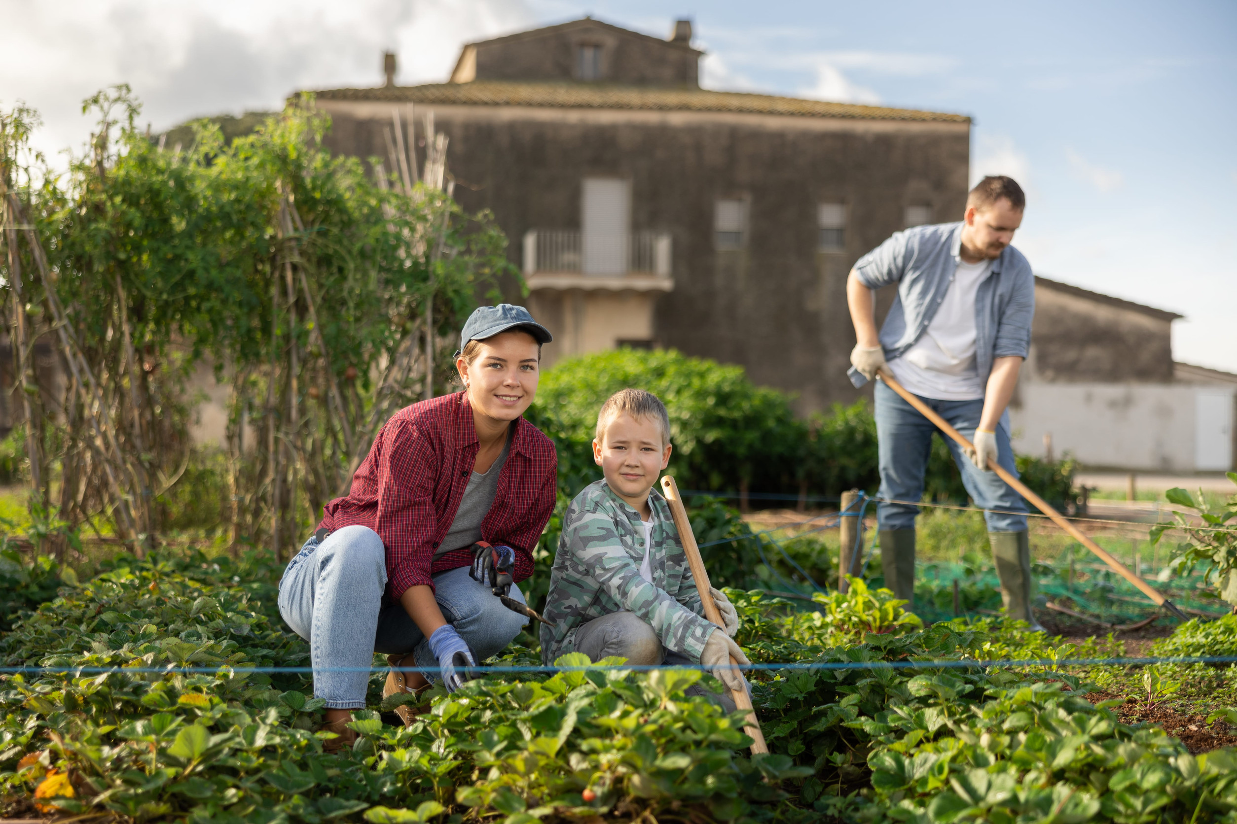 Young woman and boy harvesting in field