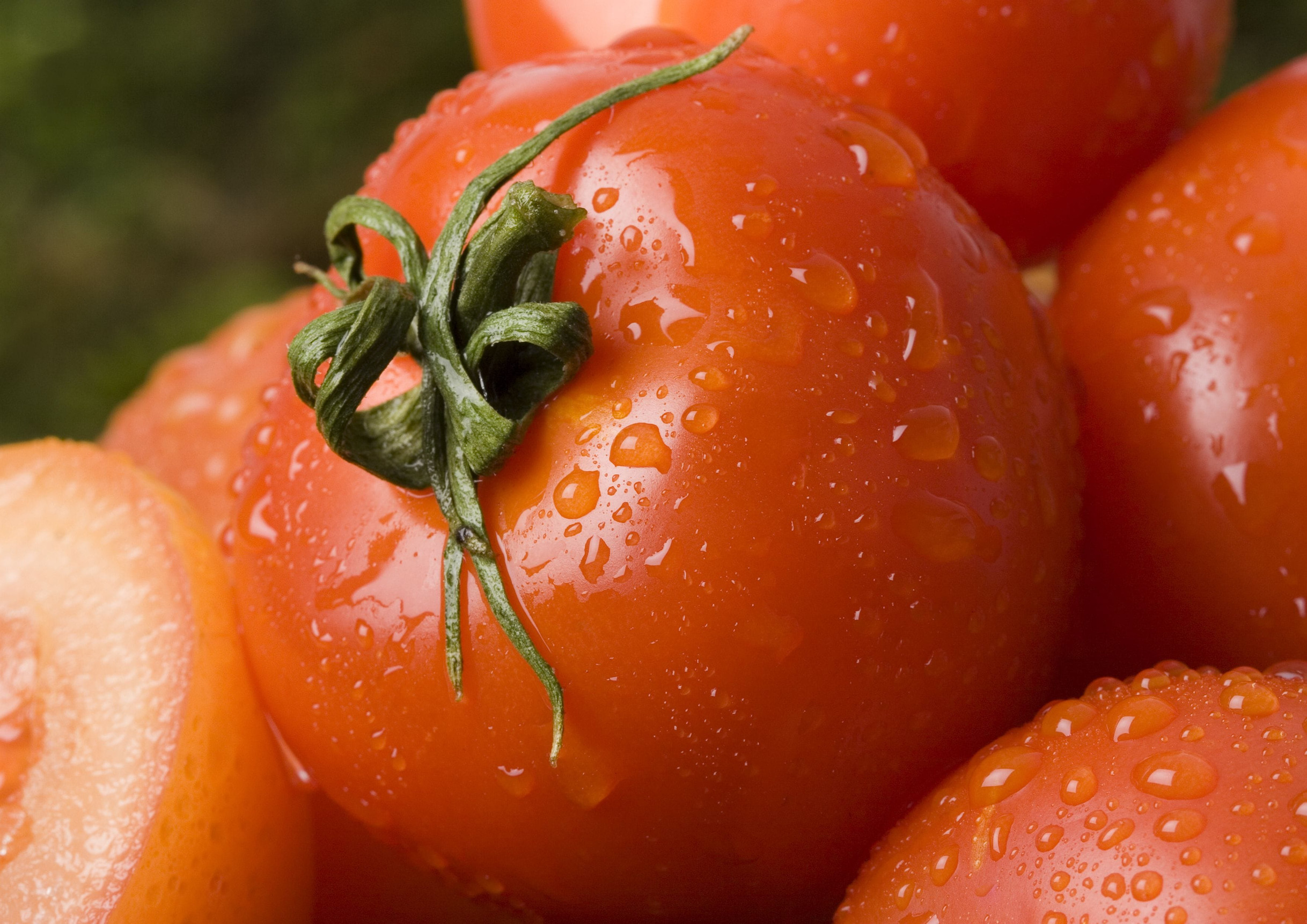 Tomato - is a cultivated plant. It is commonly cultivated because of its juicy fruits, which are full of vitamins, nutritions and mineral salts.