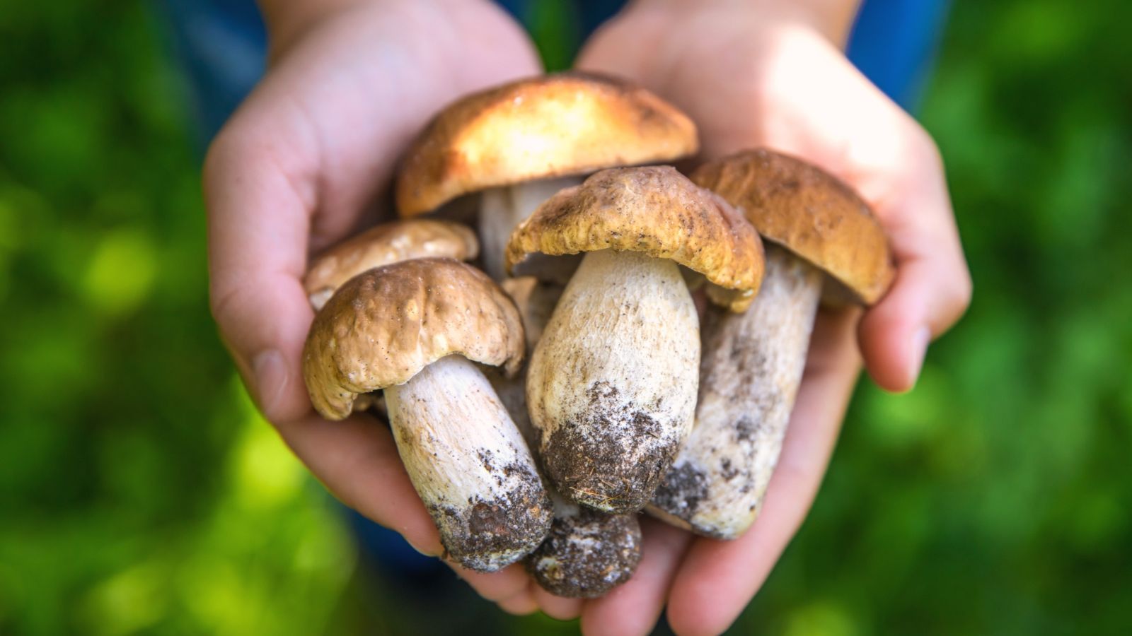 9 Foods That Can Cause Fatal Poisoning or Infection, and When the Risk Applies