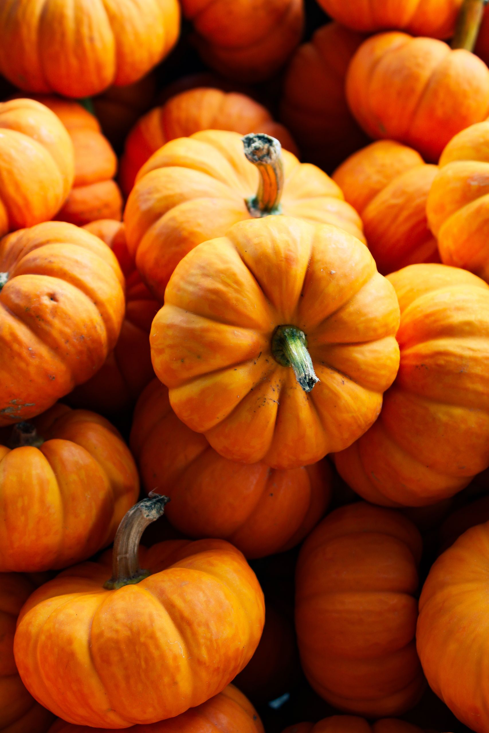A collection of bright orange pumpkins piled together, perfect for fall themes.