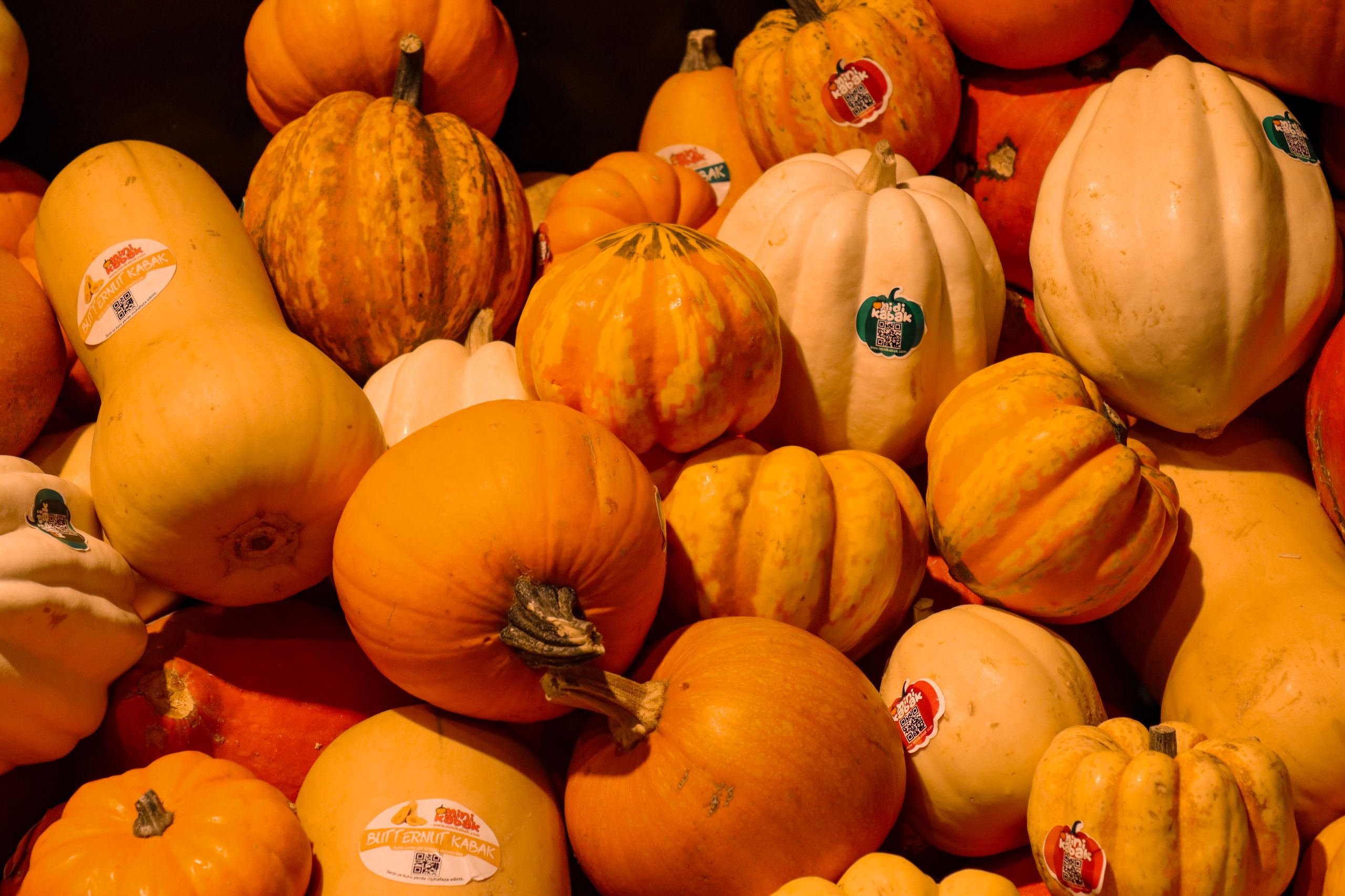 A vibrant close-up of assorted pumpkins, showcasing fall harvest colors and textures.