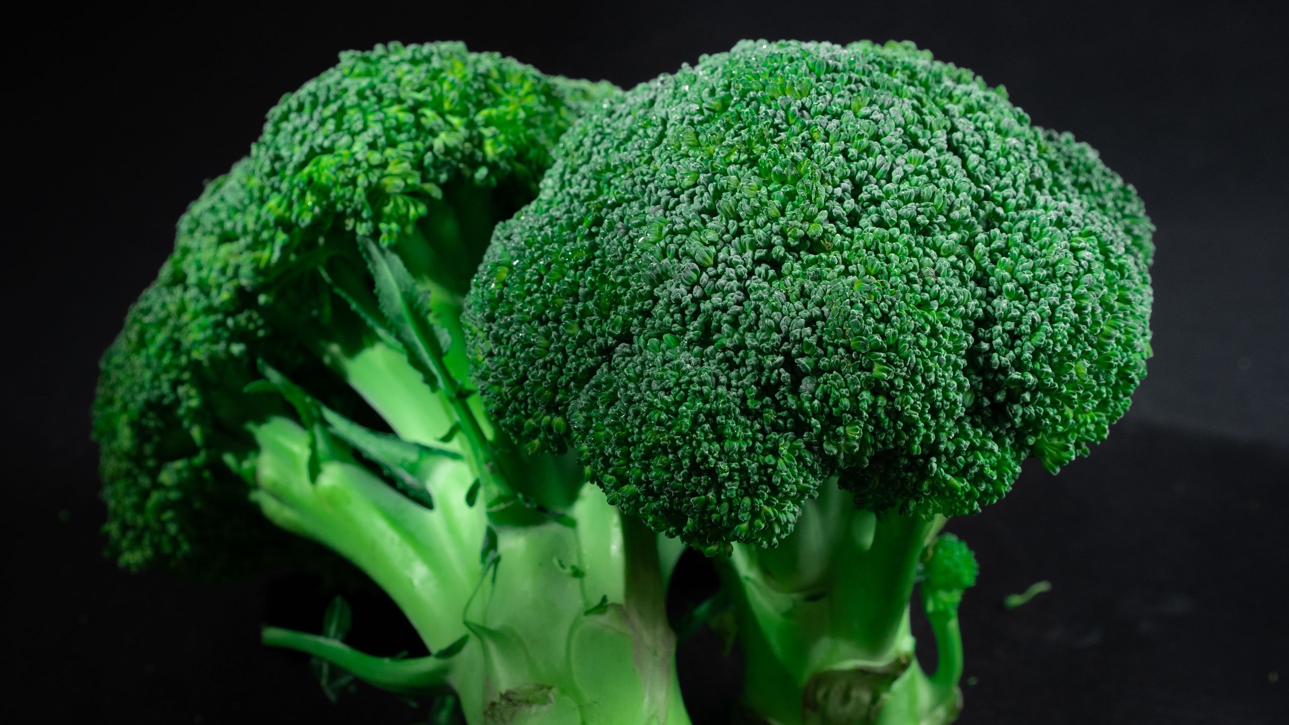 Close-up of fresh green broccoli florets showcasing texture and freshness.