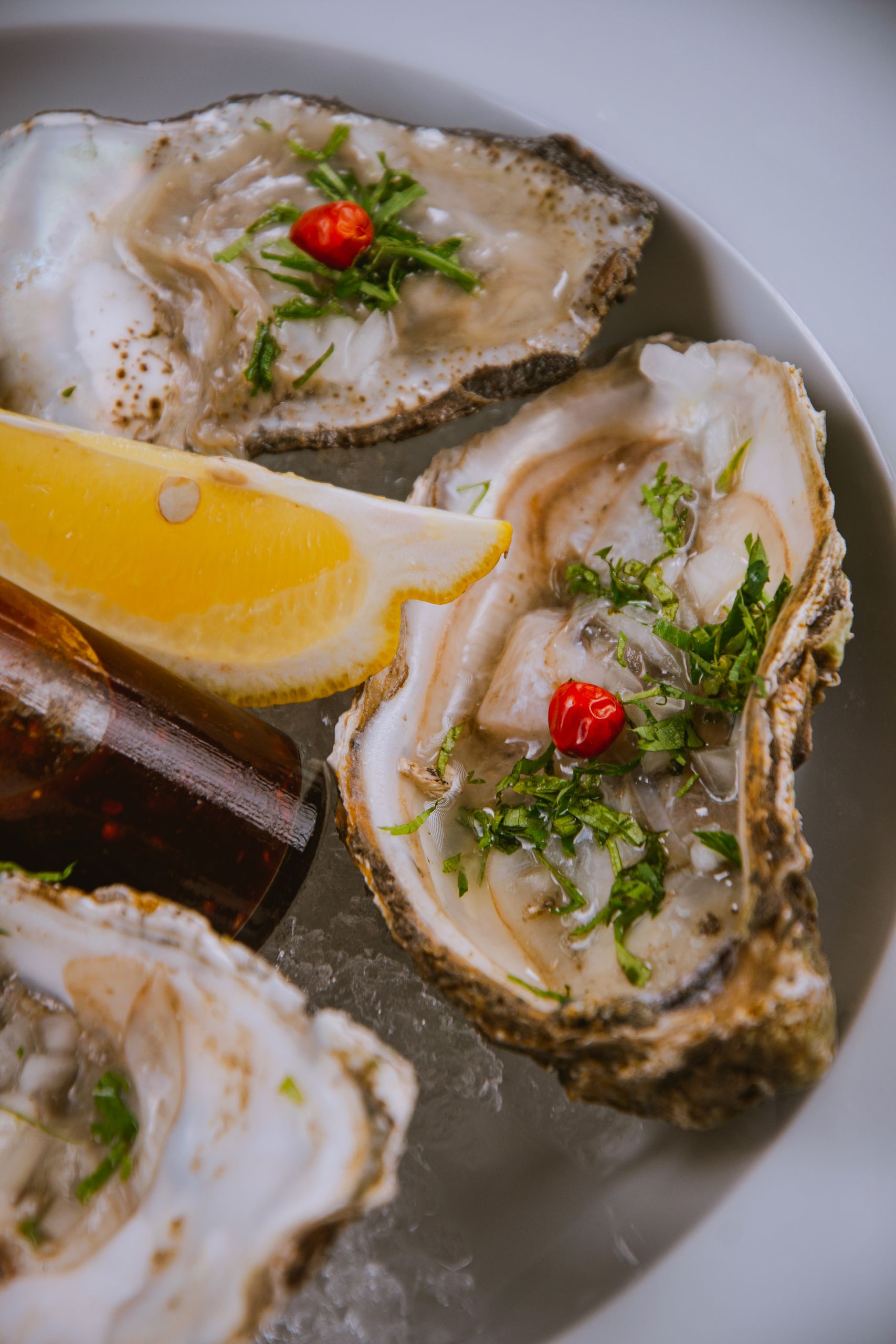 Close-up of fresh oysters garnished with herbs and lemon on ice, ideal for seafood lovers.