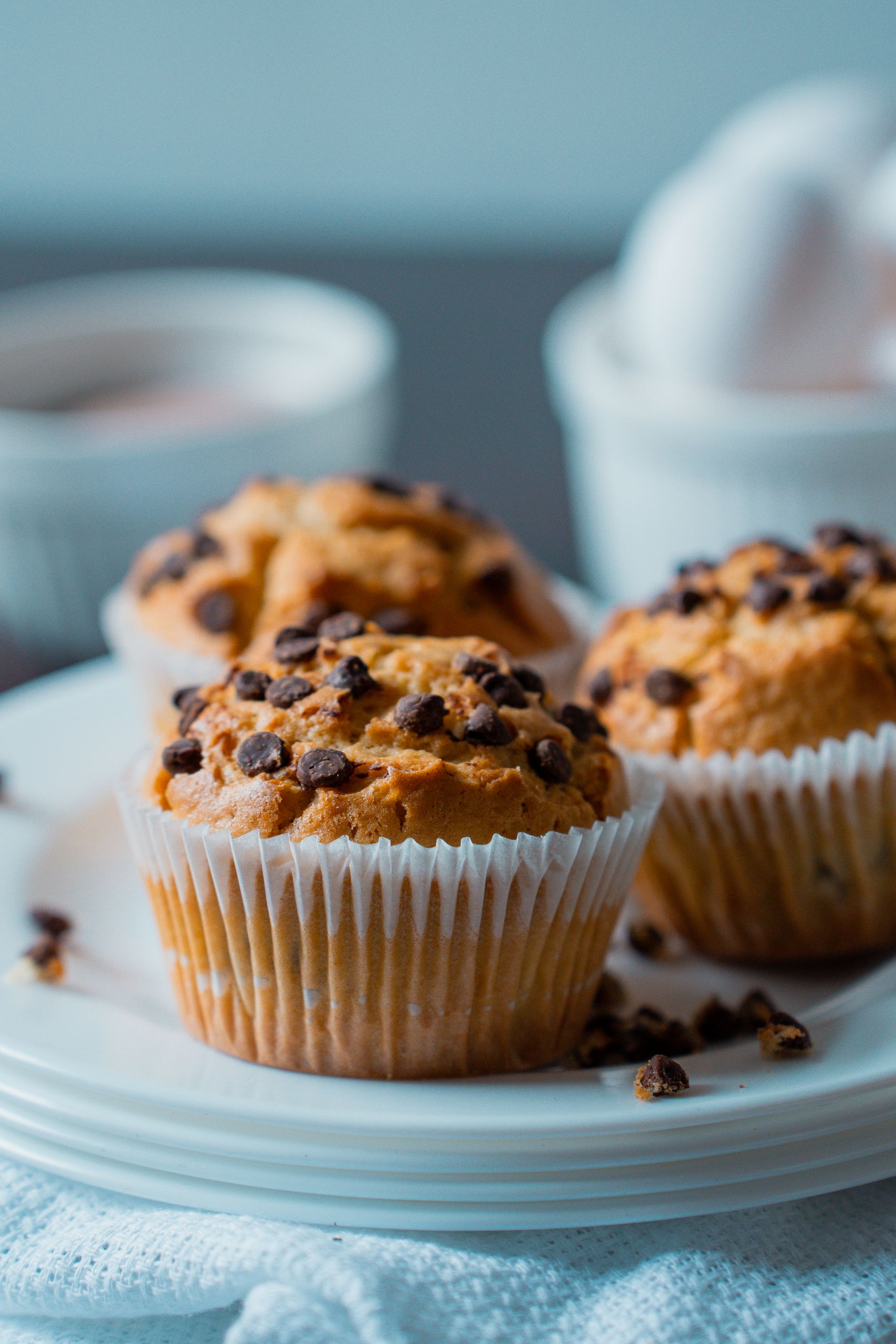 Close-up of freshly baked chocolate chip muffins on a white plate, perfect for a sweet treat.