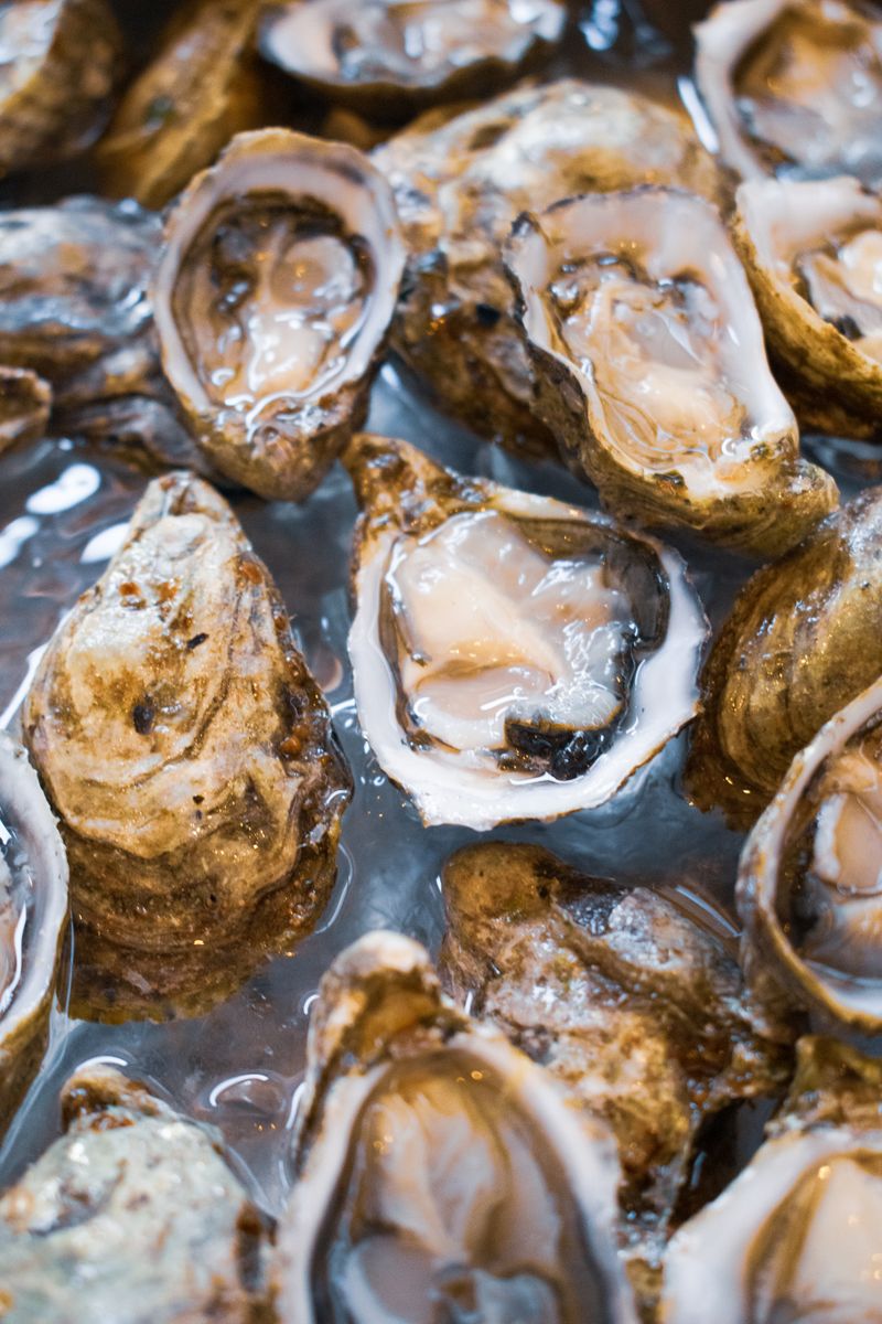 Close-up of juicy freshly shucked oysters on ice at Ensenada market, perfect for seafood lovers.