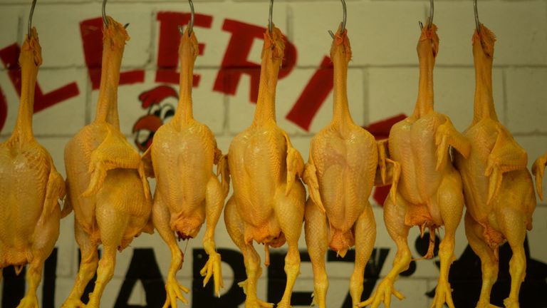 Close-up of raw chickens hanging on hooks in a market, ready for sale.
