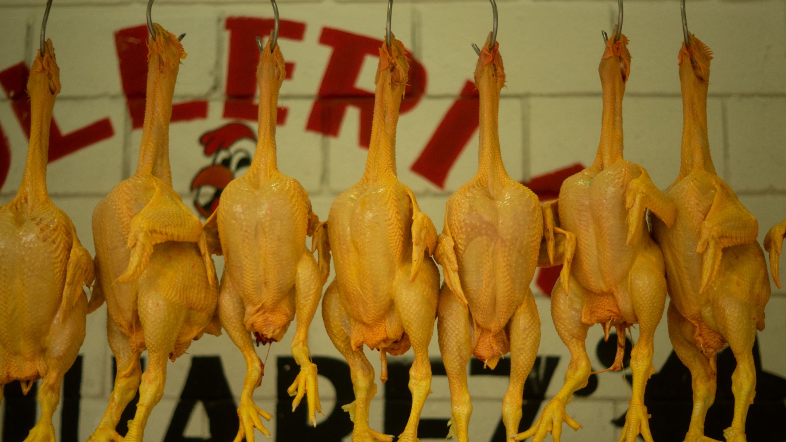 Close-up of raw chickens hanging on hooks in a market, ready for sale.
