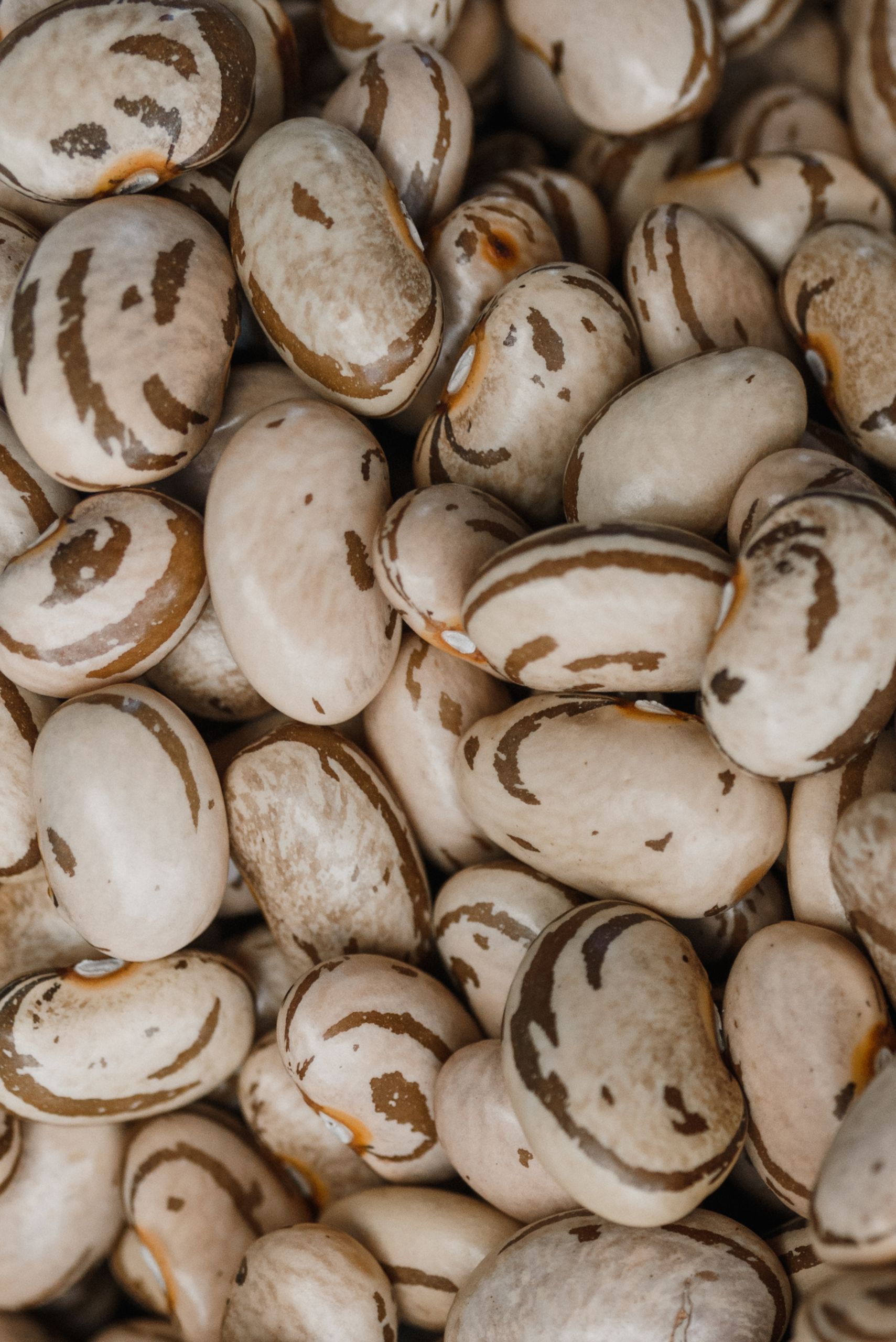 Close-up texture of organic pinto beans showcasing natural patterns and healthy choice.