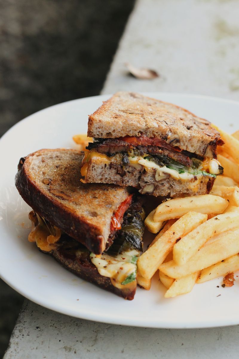 Grilled cheese sandwich served with fries on a plate outdoors.