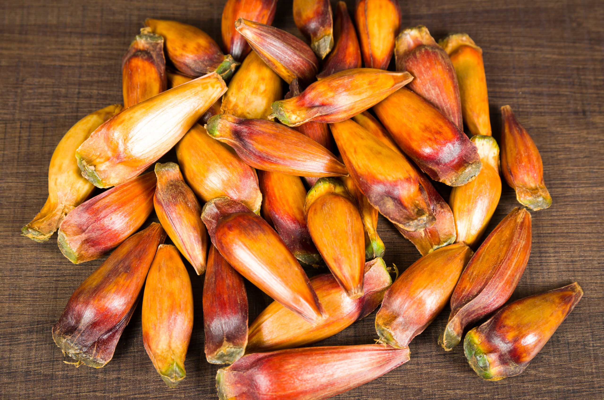9 Wild Foods That May Need a Permit Before They Reach Your Kitchen